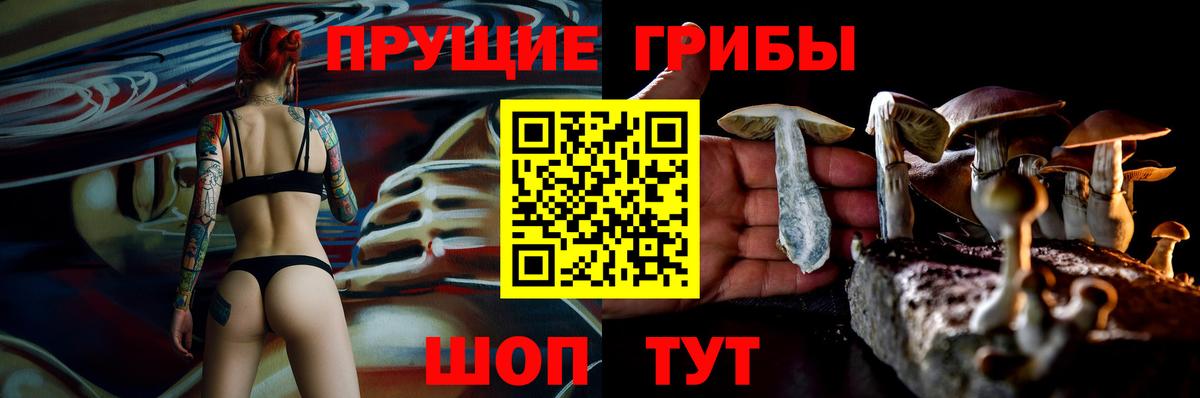 Дубна  Псилоцибиновые грибы GOLDEN TEACHER  Вход с VPN 